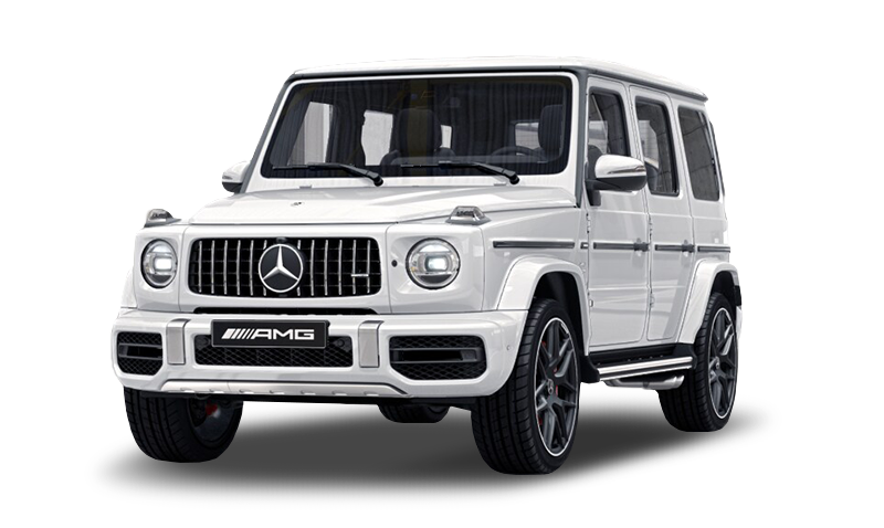 폴라 화이트 익스테리어